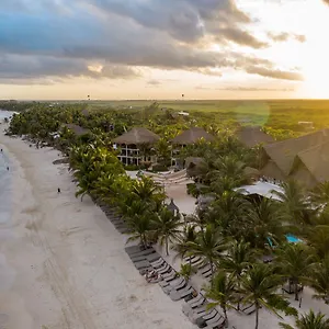 Hotel Los Lirios, Tulum